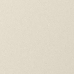 Kleurstaal Champagne (RAL 9001)